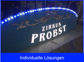 Individuelle Lsungen